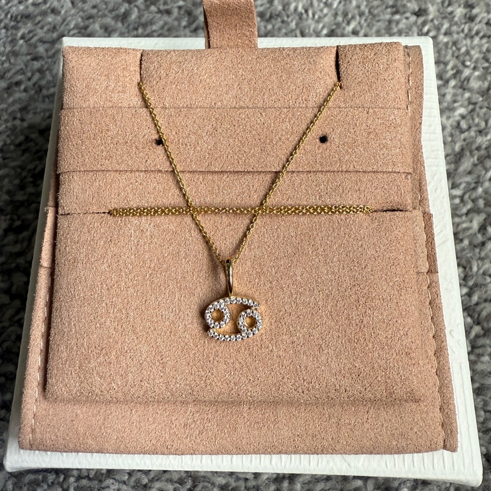 Melanie Auld Zodiac Pendant and Chain